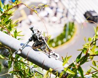 「LOST CORNER AR LIVE in HARAKADO」の様子。