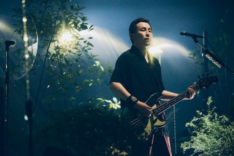 山田貴洋 （B, Vo）（撮影：山川哲矢）