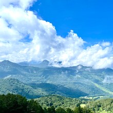 蝉時雨「Sanagi」配信ジャケット