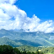 蝉時雨「Sanagi」配信ジャケット