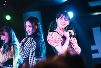 豆柴の大群都内某所 a.k.a. MONSTERIDOL