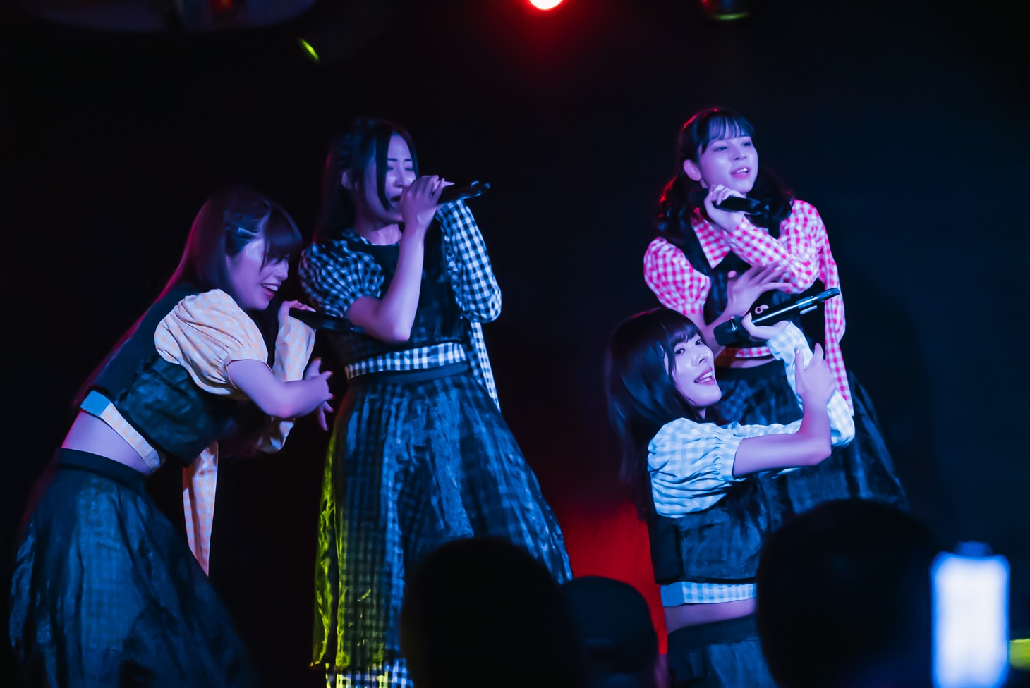 豆柴の大群都内某所 a.k.a. MONSTERIDOL