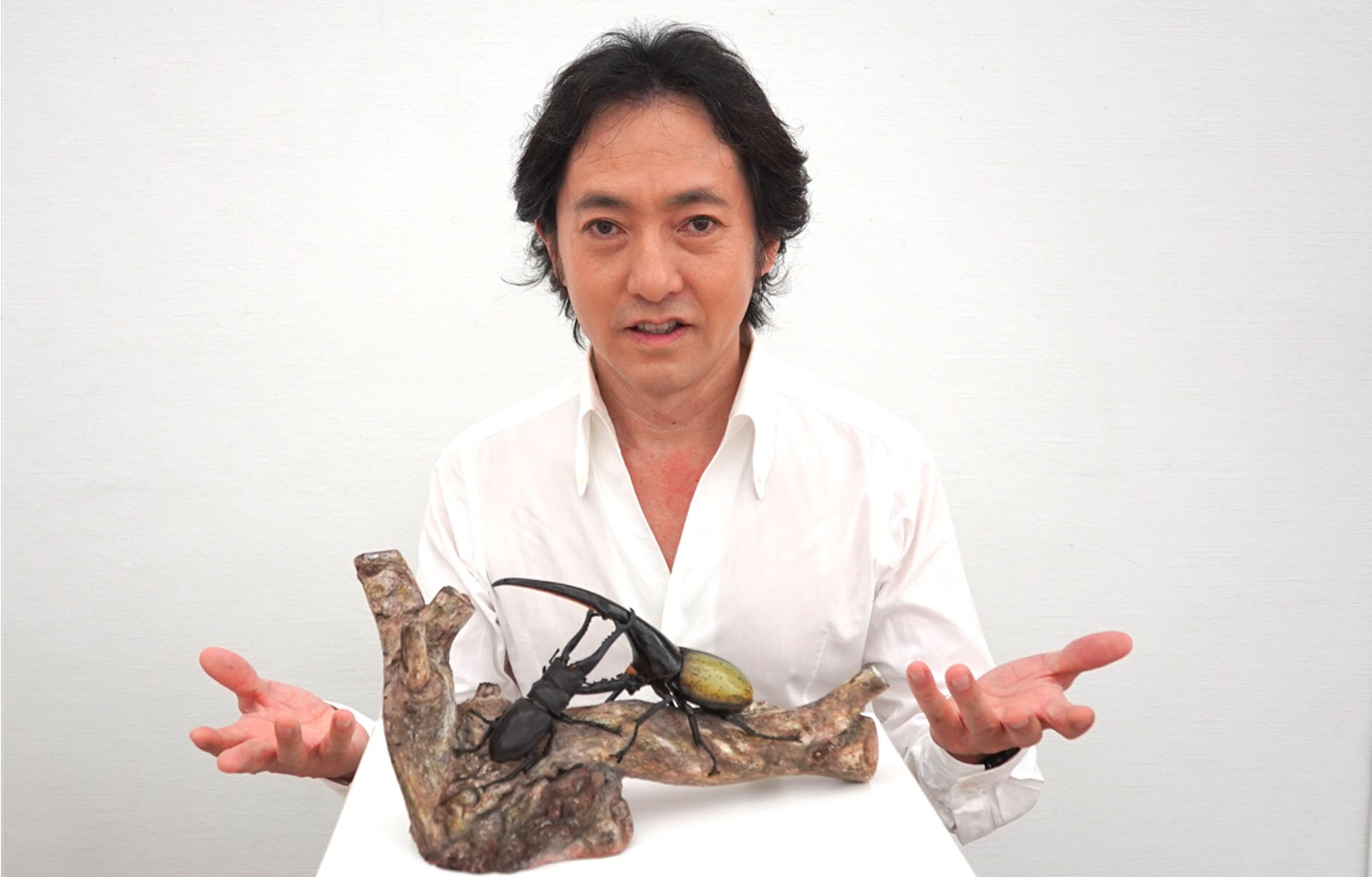 山猫オーダー専用 ヘラクレス, 横たわる負傷したギリシャ戦士 - アファイア神殿 秋川雅史が彫ったヘラクレスオオカブトとギラファノコギリクワガタ