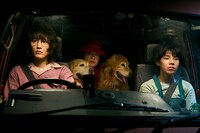 「ルート29」より。 (c)2024「ルート29」製作委員会