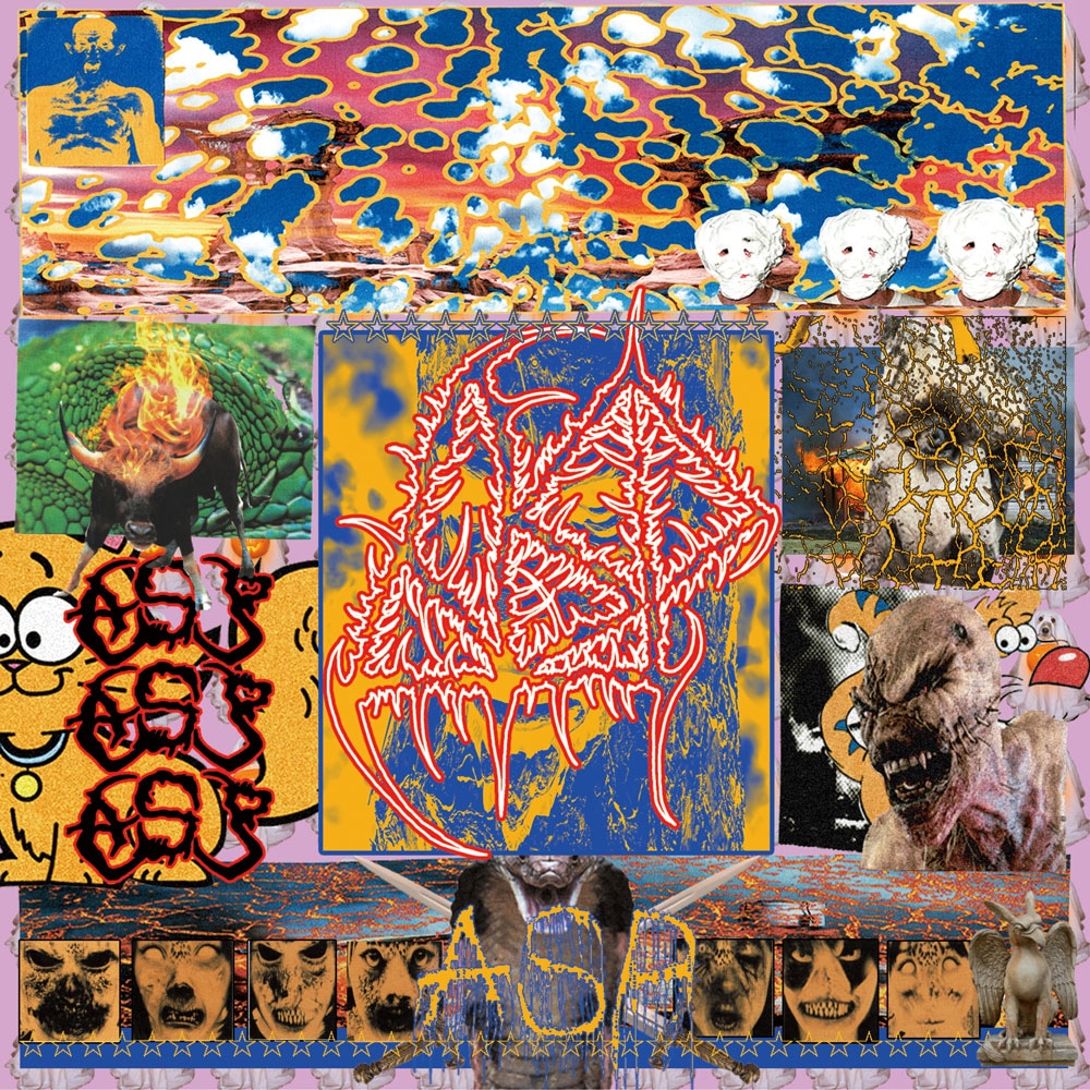 ASP「Terminal disease of ASP」通常盤ジャケット