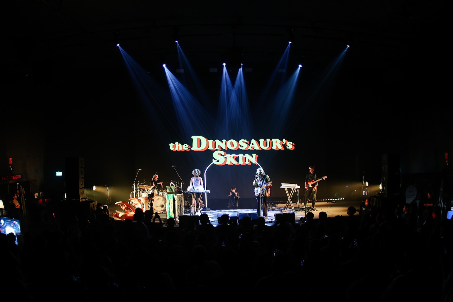 The Dinosour's Skin