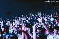 The Dinosour's Skinのライブの様子。