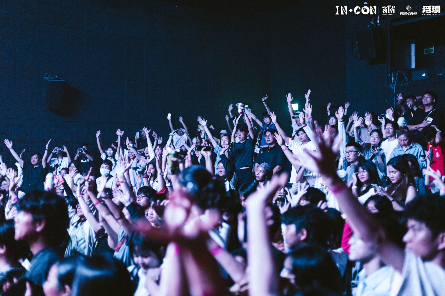 The Dinosour's Skinのライブの様子。