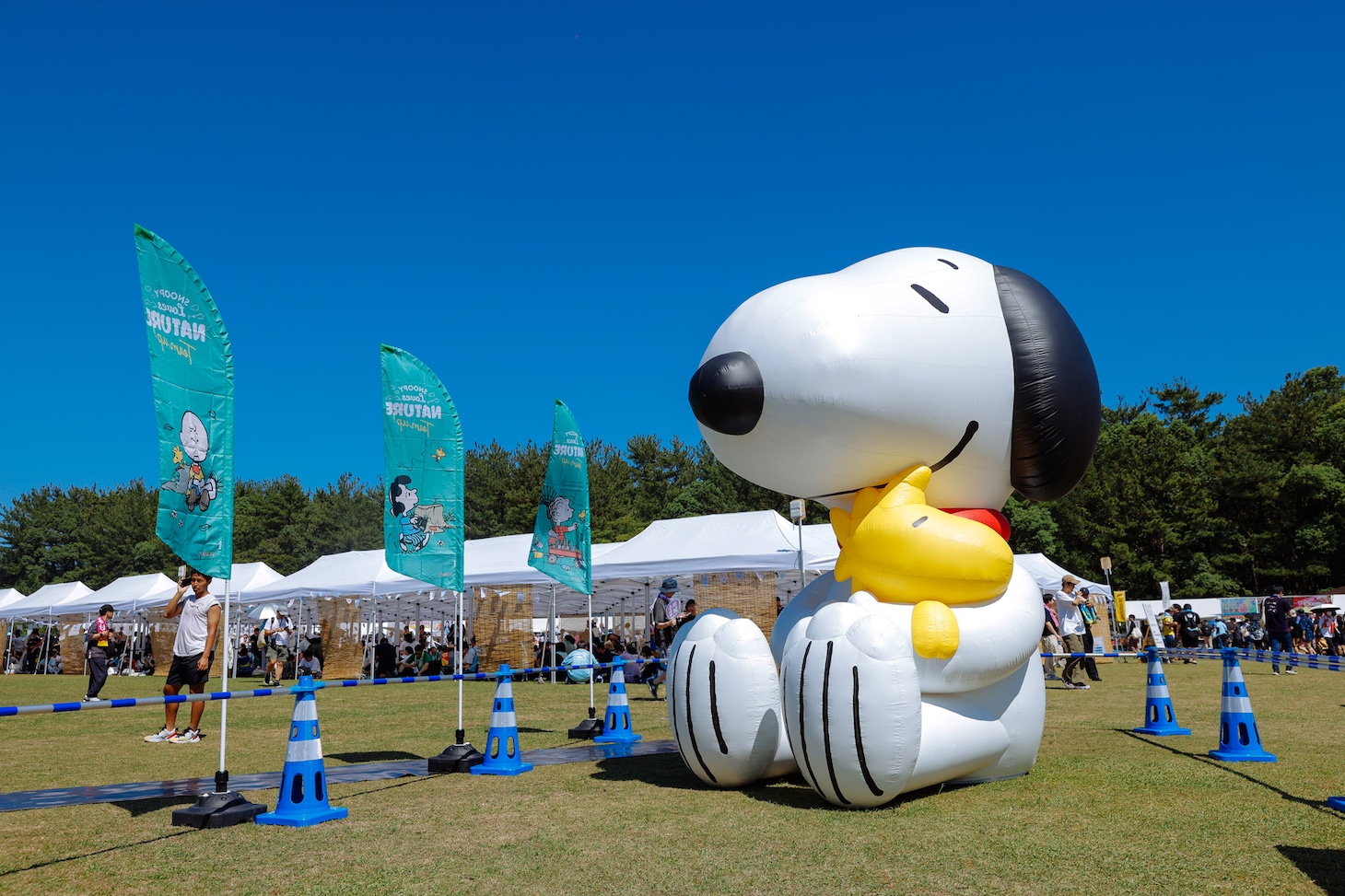 「ひなたフェス 2024」会場の様子。（撮影：木村泰之）