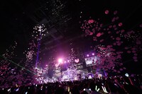 「 Want you！Want you！」のパフォーマンス中に場内に降り注ぐ風船。(c)YOANI / ソニー・ミュージックレーベルズ