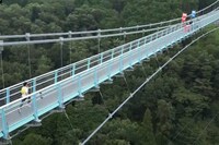 「第44回全国高等学校クイズ選手権」より。 (c)日本テレビ