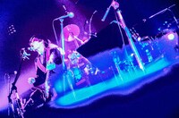 君島大空（撮影：西槇太一）