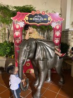 象の背中でひと休み。