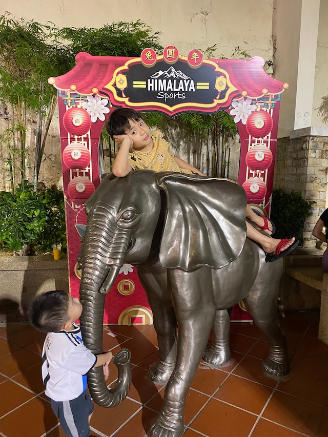 象の背中でひと休み。