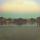 王舟、4年ぶりとなるニューアルバム「Town Dune」を明日配信