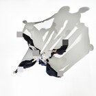 PAS TASTAの2ndアルバム「GRAND POP」リリース決定、O-EASTでワンマンライブ開催