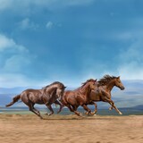 Yo-Sea「かけ足族」配信ジャケット