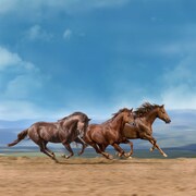 Yo-Sea「かけ足族」配信ジャケット