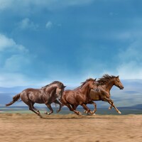 Yo-Sea「かけ足族」配信ジャケット