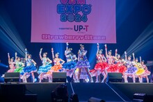 虹のコンキスタドール