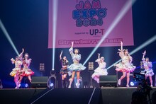 アンスリューム