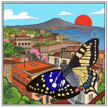 くるり「La Palummella」配信ジャケット