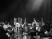 Homecomings（撮影：新家菜々子）