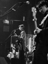 Homecomings（撮影：新家菜々子）