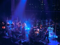 Homecomings（撮影：新家菜々子）