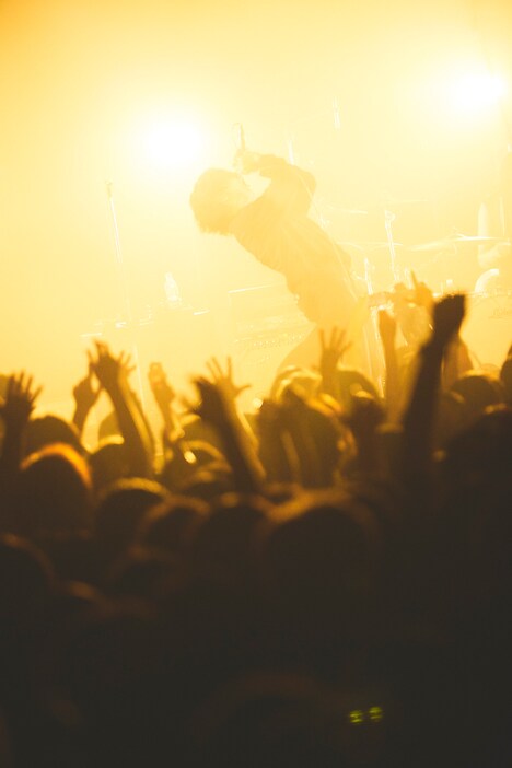 The Novembers「"The Novembers" Release Tour 2024」東京・LIQUIDROOM公演の様子。（Photo by Yosuke Torii）
