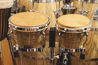 ボンゴ。右がマッチョ、左がエンブラ。