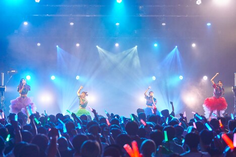 TEAM SHACHI（撮影：大橋祐希）