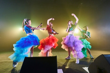 TEAM SHACHI（撮影：大橋祐希）