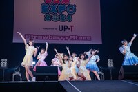 かすみ草とステラ、ラフ×ラフによるコラボの様子。