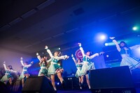 可憐なアイボリー