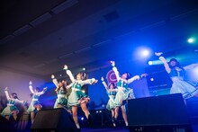 可憐なアイボリー