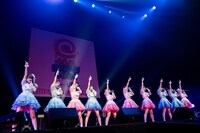 かすみ草とステラ