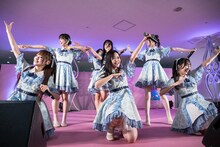 可憐なアイボリー