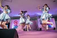 可憐なアイボリー