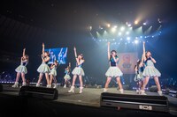 ロージークロニクル