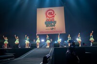 ロージークロニクル