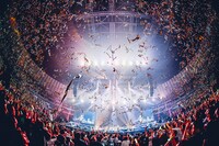 「THE PRIMALS Live in Japan - Darkest Before Dawn」の様子。