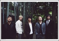 the HIATUS写真集「Gobble Up the Groove Tour 2024 ON the SHOW」「Gobble Up the Groove Tour 2024 OFF the SHOW」購入者特典A5サイズポストカードサンプル