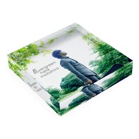 秦基博「evergreen」アナログ＋アクリルブロック盤に付属するアクリルブロック。