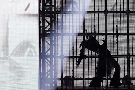 Ado (c)フジテレビ/Cloud Nine