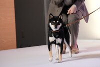 歩みを進めるアキラ。