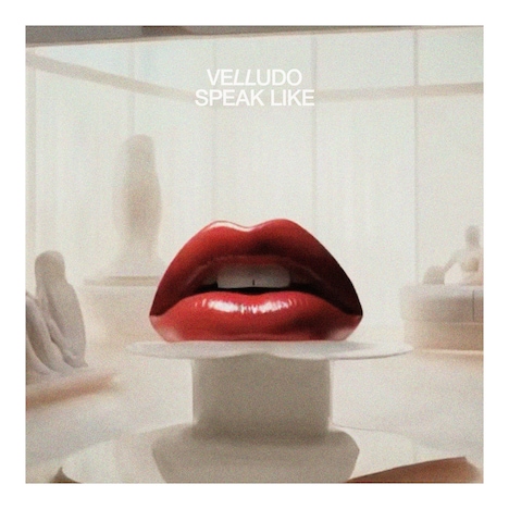 Velludo「Speak Like」配信ジャケット