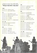 「a flood of circle Tour 2024-2025」フライヤー