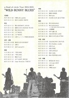 「a flood of circle Tour 2024-2025」フライヤー