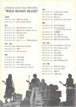 「a flood of circle Tour 2024-2025」フライヤー